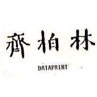 齊柏林 DATAPRINT