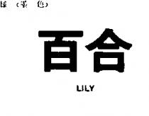 百合 LILY