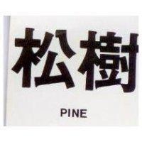松樹 PINE