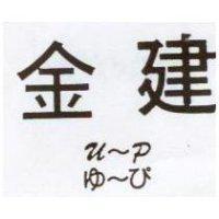 金建 u~p ゆ~ぴ