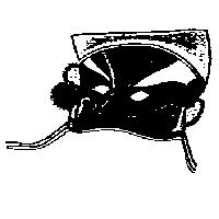 臉譜圖