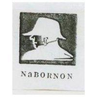 男孩側面圖及 NaBORNON