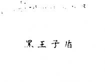 黑王子盾