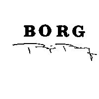 BORG 及 bJORN BORG