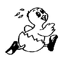 小鷄設計圖