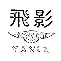 飛影及圖 VANIN