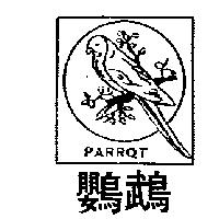 鸚鵡及圖 PARROT