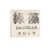 綠藻 CHLORELLA