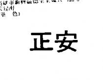 黑猫 CAT