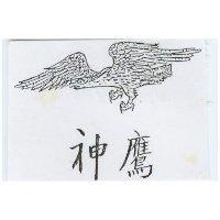神鷹及圖