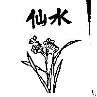 水仙及圖