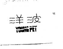 洋波 YOUNG PET