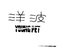 洋波 YOUNG PET