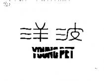 洋波 YOUNG PET