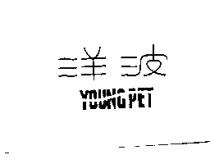 洋波 YOUNG PET