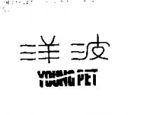 洋波 YOUNG PET