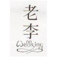 老李設計圖 WELLSING