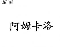 阿姆卡洛