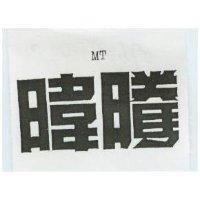 暐騰 MT
