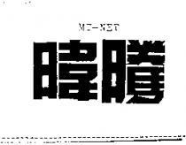 暐騰 MT-NET