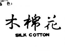 木棉花 SILK COTTON