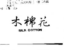 木棉花 SILK COTTON