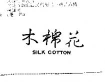 木棉花 SILK COTTON