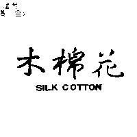 木棉花 SILK COTTON