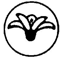 木棉花設計圖