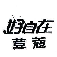 好自在荳蔻