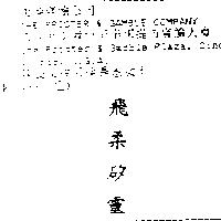 飛柔矽靈