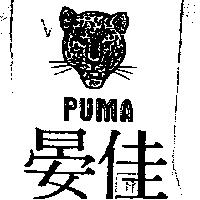 晏佳及圖 PUMA