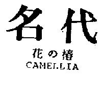 名代 CAMELLIA 花の椿