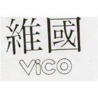 維國 VICO