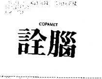 詮腦 COPAMET-I
