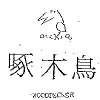啄木鳥及圖 WOODPECKER