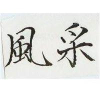 風采