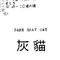 灰貓 DARK GRAY CAT