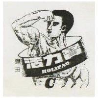 豐田活力寶 C 及圖 HOLIPAO