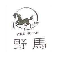 野馬及圖 WILD HORSE
