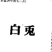 白兔