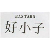 好小子 BASTARD
