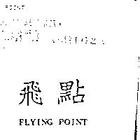 飛點 FLYING POINT