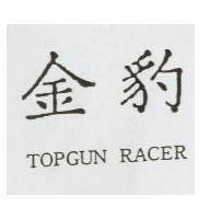 金豹 TOPGUN RACER
