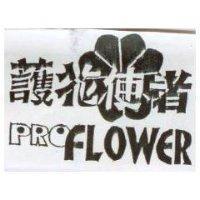 護花使者 PROFLOWER