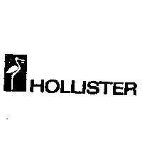 HOLLISTER AND DESIGN 