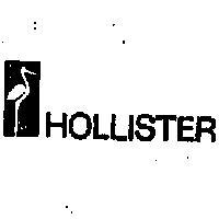 HOLLISTER AND DESIGN 
