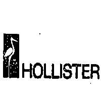 HOLLISTER AND DESICN 