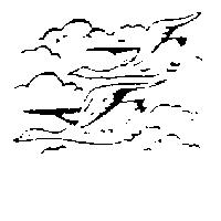 双鵝圖