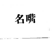 名嘴
